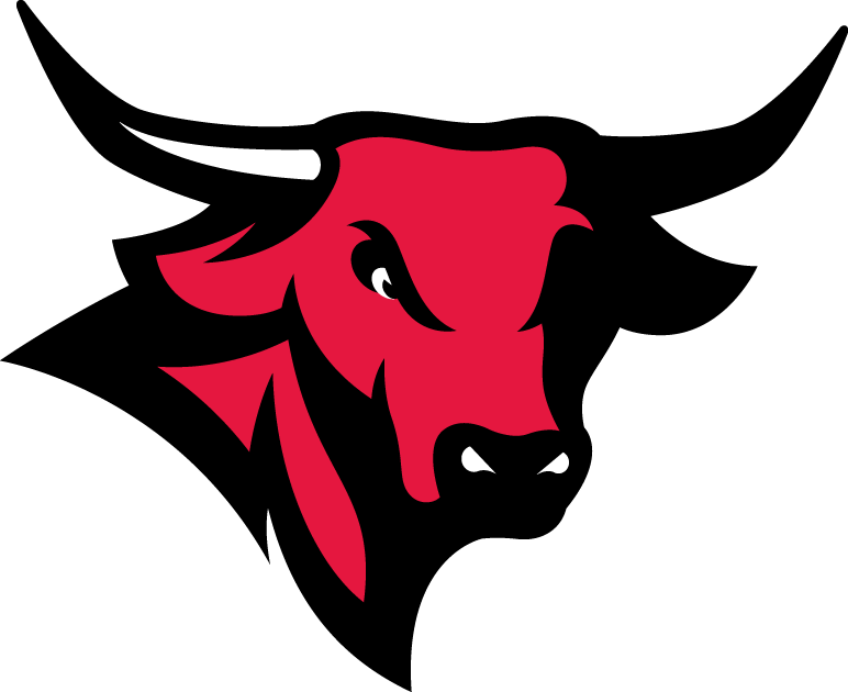 Nebraska-Omaha Mavericks 2011-Pres Secondary Logo diy iron on heat transfer